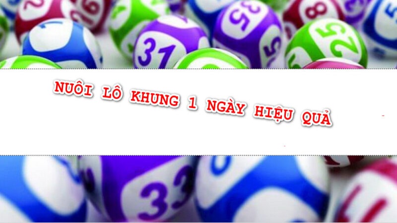 Khái niệm nuôi khung 1 ngày được hiểu như thế nào?